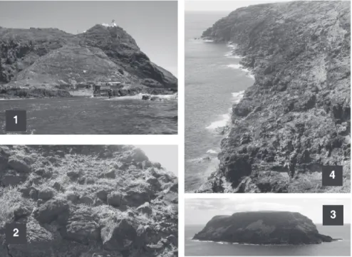 Figura 1 - Ilha de Santa Maria; localização das 4 populações de L. azoricus: 1: População da Ponta do Castelo; 2: 