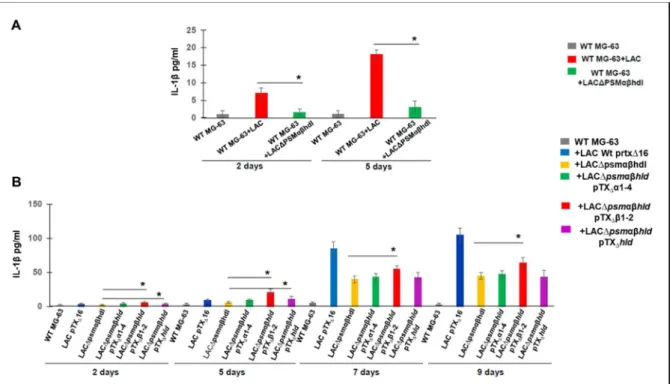 Figure 23: S. aureus phenol-soluble modulins stimulate IL-1β release from infected osteoblasts