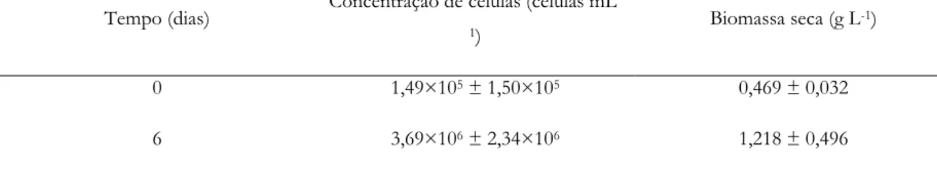 Tabela 2 - Concentração celular e de biomassa seca de microalga  Scenedesmus subspicatus  em função do  tempo de cultivo nos testes em pequena escala