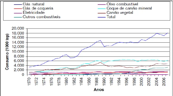 Figura 2: Consumo dos insumos energéticos no Brasil (Balanço Energético Nacional, 2008) 