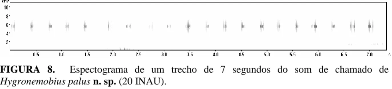 FIGURA  8.    Espectograma  de  um  trecho  de  7  segundos  do  som  de  chamado  de  Hygronemobius palus n