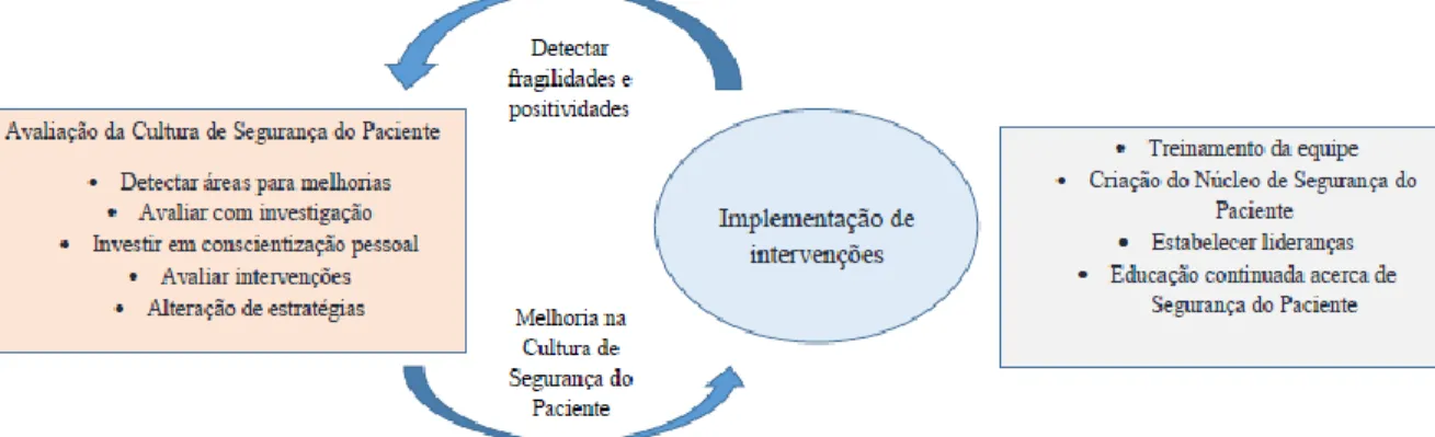 Figura 1:  Modelo de melhoria da cultura de segurança do paciente. 