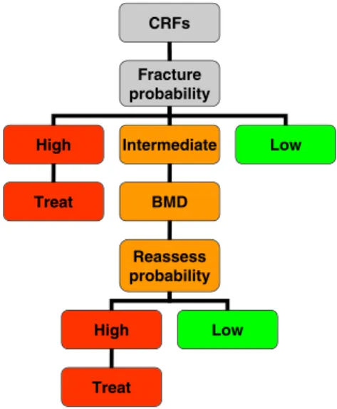 Fig. 4 Management algorithm for the assessment of individuals at risk of fracture [89] with kind permission from Springer Science and Business Media