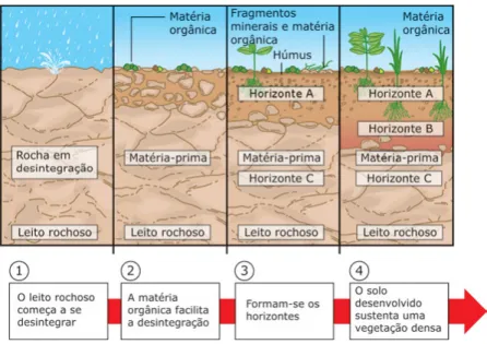 Figura 1. Noções de formação do solo. Fonte: Geo-Conceição (2017).