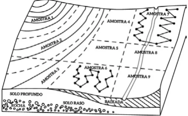 Figura 9. Divisão das áreas de amostragem conforme terreno. Fonte: Cavalcante et al. (2008).