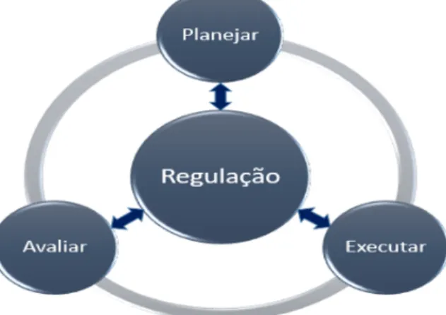 Figura 2 – Princípios de Autoavaliação Institucional