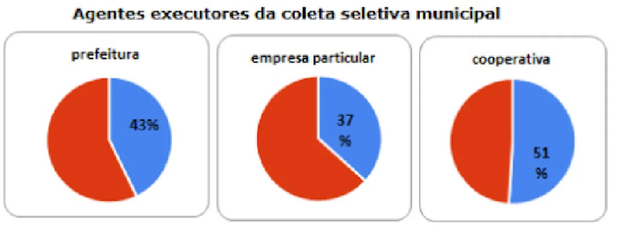 Figura 1: Uma visão da importância da atividade de catador nos municípios brasileiros