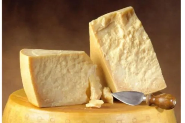 Figura 5: Queijo Cheddar 