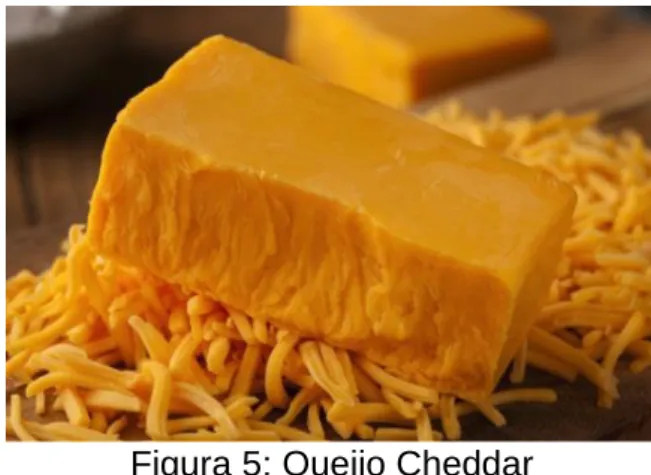 Figura 4: Queijo parmesão 