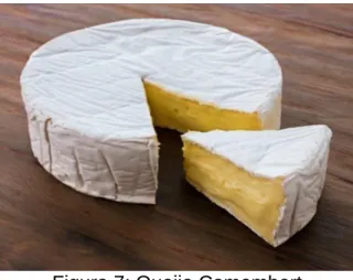 Figura 6: Queijo Roquefort 