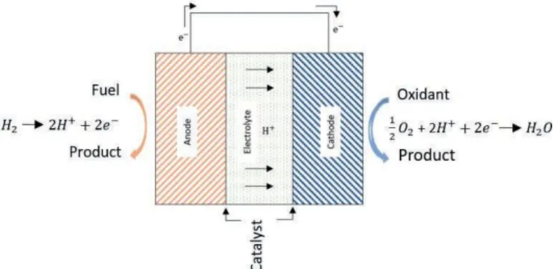 Figure 3: Structure and composition of a fuel cell (adapted from Haile (2003) 