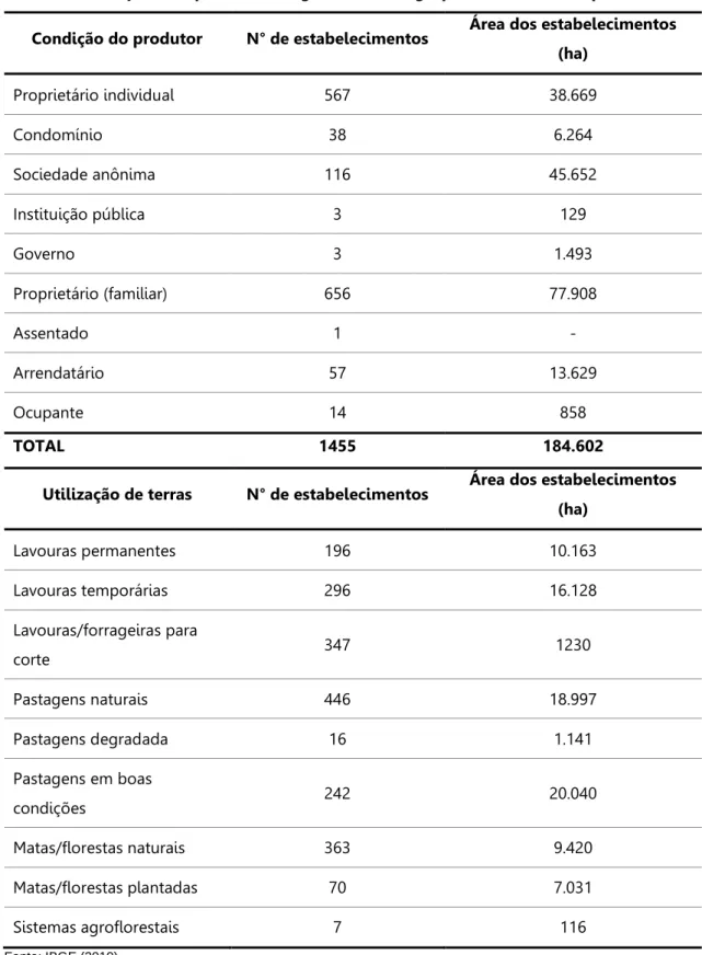 Tabela 1. Condições dos produtores segundo Censo agropecuário do município de Avaré. 