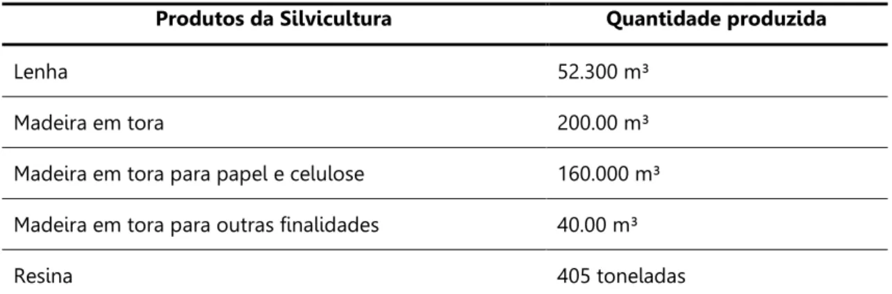 Tabela 6. Produtos da Silvicultura no Município de Avaré (2007). 