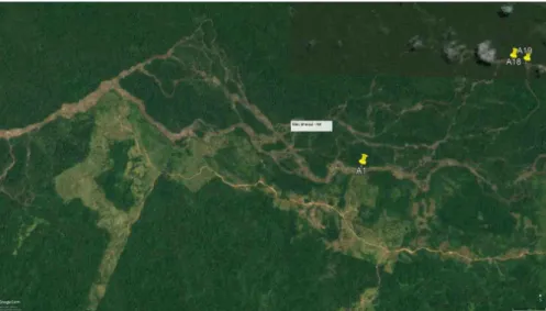 Figura 4: Amostra 1, localizada no rio Uraricoera, próxima a estradas e fazendas do  município do Amajari­RR.