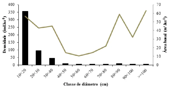 Figura 1 – Densidade e área basal de indivíduos distribuídos por classe de diâmetro em um trecho de  floresta nativa explorada seletivamente que se encontra dentro da área destinada à construção do Campus  da UERR em Rorainópolis-RR.