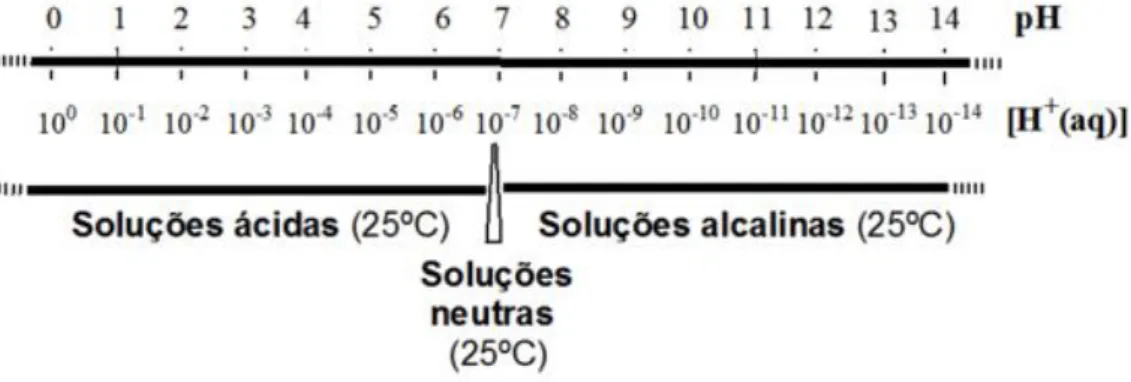 Figura 6: escala de pH