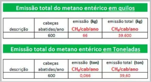 Tabela da emissão total de metano entérico do Projeto Pecuária Neutra  Fonte: Projeto Pecuária Neutra 2016 
