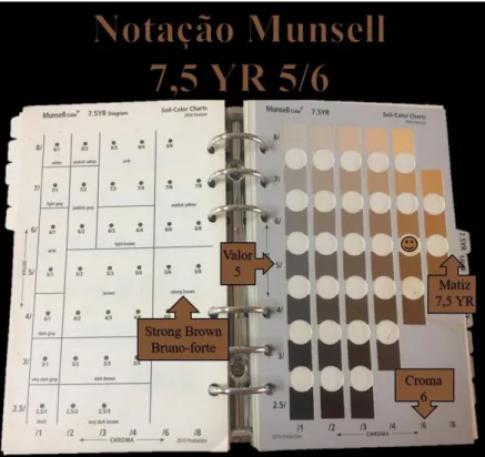 Figura 2- Carta de Munsell para classificação de coloração de solos (Guimarães, 2016).