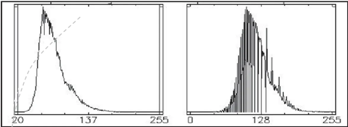 Fig. 7.13 Realce de contraste de imagem por meio de expansão histogrâmica função raiz quadrada de imagens  com áreas de baixos valores de brilho