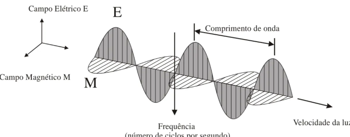 Fig. 1.1- Direção de propagação da radiação eletromagnética na forma de uma onda, em função das oscilações  ortogonais dos campos magnético (M) e elétrico (E)