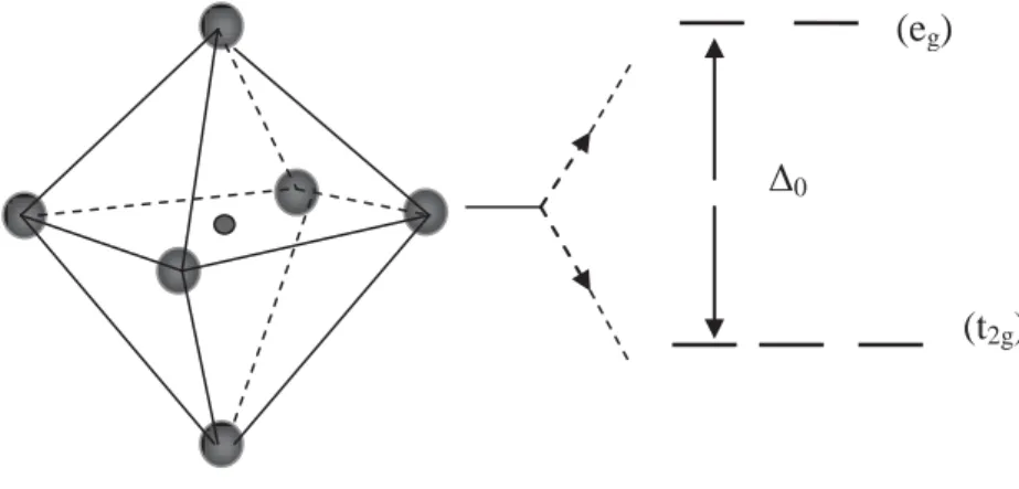 Fig. 2.7 Níveis de energia contidos no metal de transição centrado na estrutura de um mineral octaedral