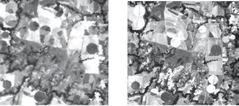 Fig. 3.7 Imagens no termal de 10,4 – 12,5 μm (esquerda) e da faixa visível do vermelho de 0,63 – 0,69 μm  (direita), obtidas simultaneamente pelo sensor ETM do Landsat7