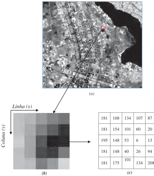 Fig. 5.1 Imagem digital (a) com área em zoom de grupo de pixels em valores de cinza (b) e correspondentes  valores digitais (c)