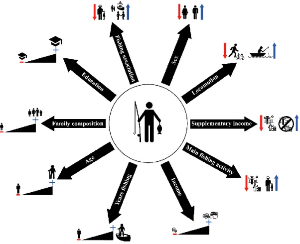 Fig. 1 Symbolic representation of the hypothetical predictions raised in this study considering the  influence of socioeconomic variables on the number of risks perceived by fishers in Rio Formoso  (PE)