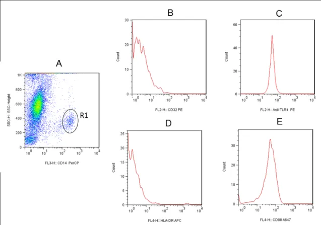 Figura 5- Sequência de procedimentos utilizados para quantificar a intensidade média da expressão  de CD32, Toll, MHCII e CD80 em monócitos