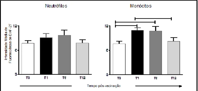 Figura 8- Intensidade Média de Fluorescência de DAF-2T para avaliar o nível de óxido nítrico  intracelular em neutrófilos e monócitos do sangue periférico de cães dos grupos não vacinado (T0),  um mês (T1), seis meses (T6) e doze meses após vacinação (T12)