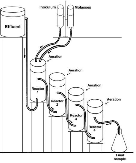 FIGURE 1:  System of reactors for the continuous flow experiment, made of PVC, with a volume totaling 15.7L.
