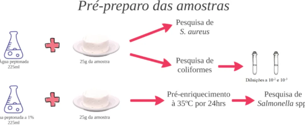 Figura 1 - Esquema de pré-preparo das amostras para pesquisa de S.aureus, coliformes e Salmonella spp.