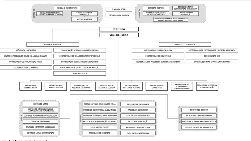 Figura 1 - Organograma funcional. 