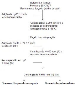 Figura 1. Fluxograma de tratamento da levedura secundária para obtenção da  biomassa de levedura 