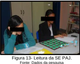 Figura 13- Leitura da SE PAJ. 