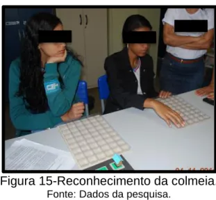Figura 15-Reconhecimento da colmeia. 