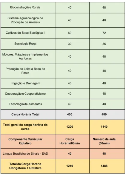Figura 2 - Representação Gráfica do Processo Formativo