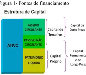 Figura 1- Fontes de financiamento 