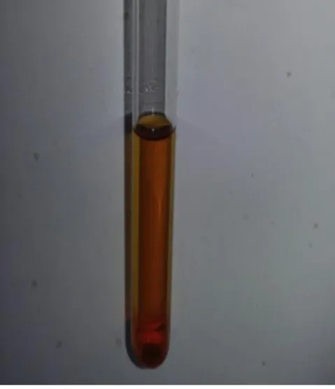 Figura 22- Resultado positivo para flavonoides. 