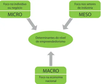 Figura 3:  Determinantes do empreendedorismo no  modelo eclético