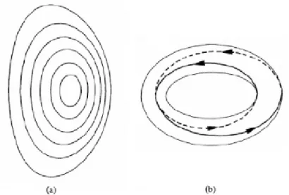 Figura 3 – (a) superf´ıcies magn´ eticas em corte; (b) linha de campo em vista toroidal para q=2;