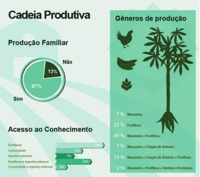 Figura 5: Cadeia Produtiva do Assentamento 