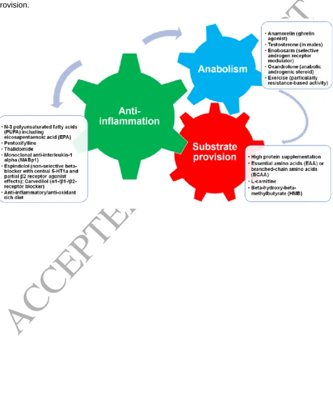 Figure 2: Candidate interventions for patients with chronic heart failure and cachexia or  sarcopenia (see Supplemental Table S7 for reference list)  