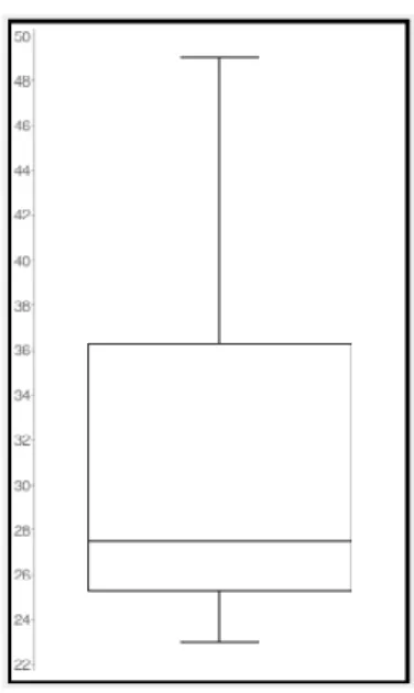 Gráfico 2: Idades dos egressos.