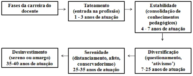 Figura 1 – Fases da carreira docente. 