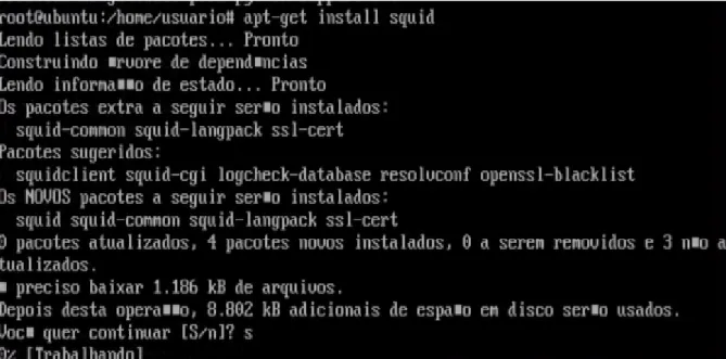 FIGURA 1 – Instalação do Squid 