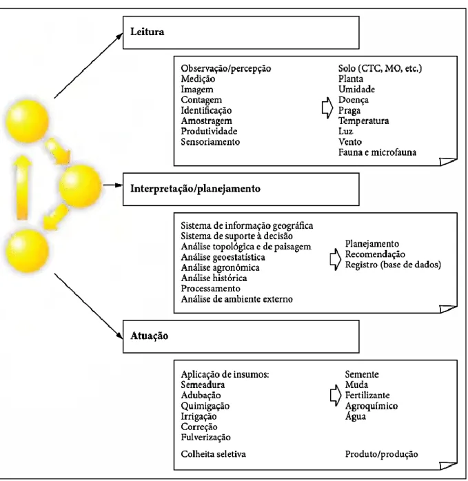 Figura 2 - Ciclo da agricultura de precisão em 3 etapas 