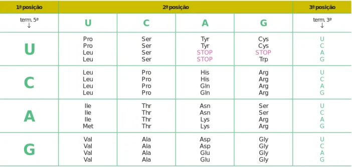 TABELA DE CÓDONS E AMINOÁCIDOS