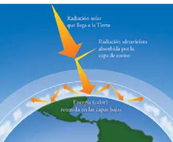 Figura 6. Localización de la capa de ozono en la atmósfera  terrestre.