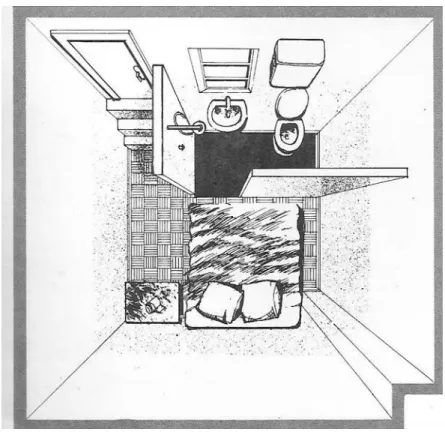 Figura 01 - XAVIER, 1998. 
